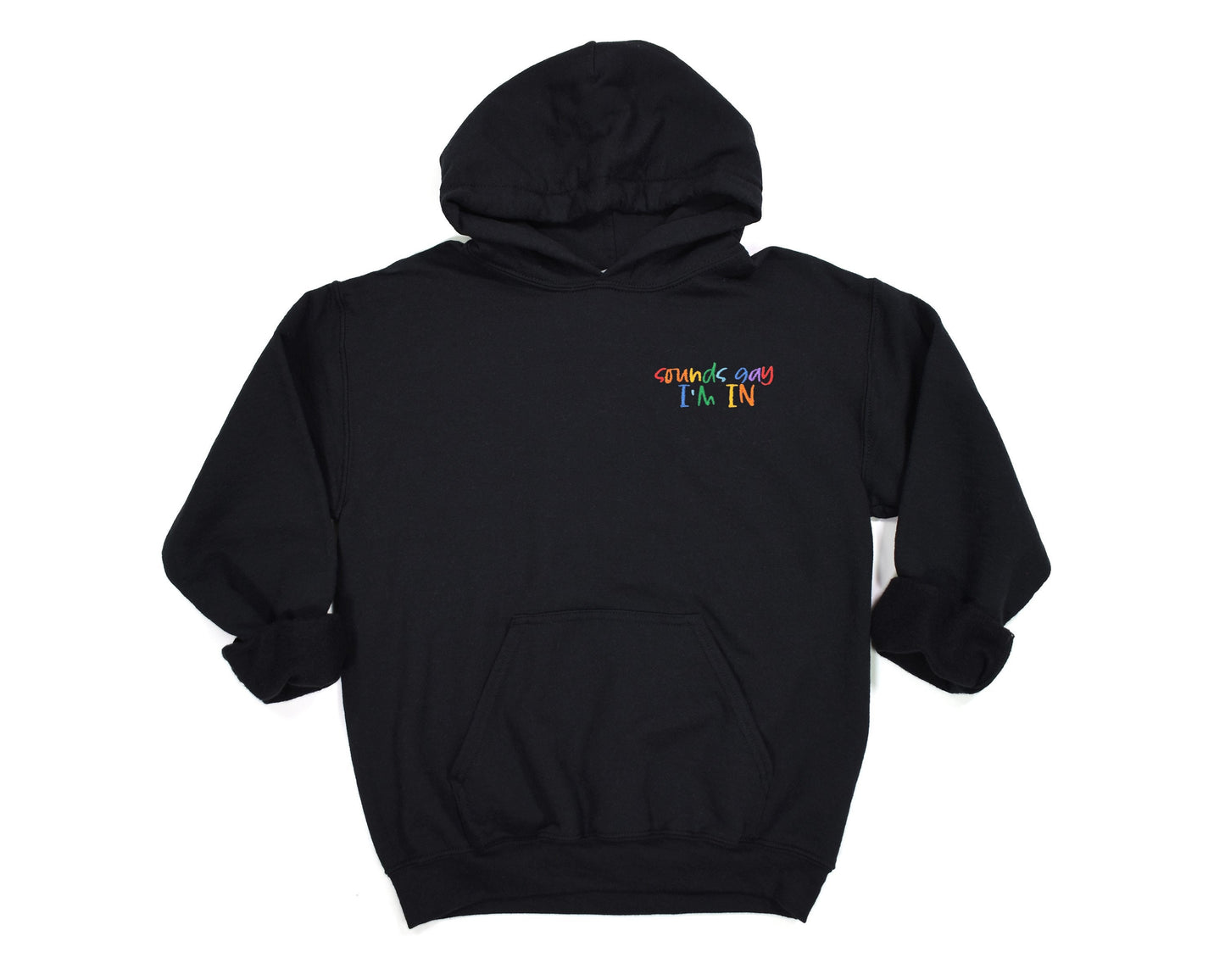 Embroidered Sounds Gay I'm In Unisex Hoodie Sweatshirt